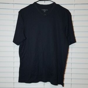 Mens (M) Striped Short Sleeve V-Neck Tee